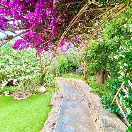 Design - 5 Min & - Wifi - By Coral * Porto Cervo